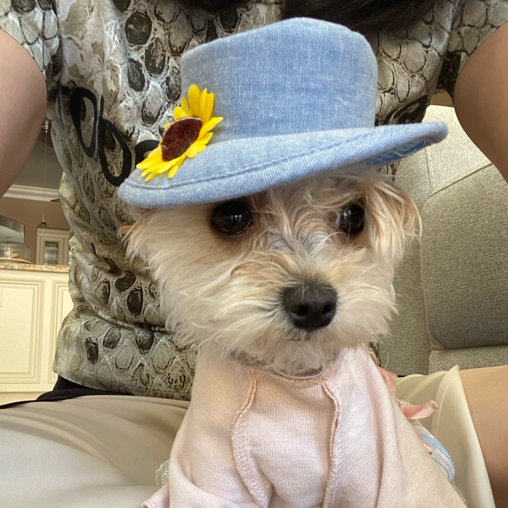 Meet your Posher, Kate